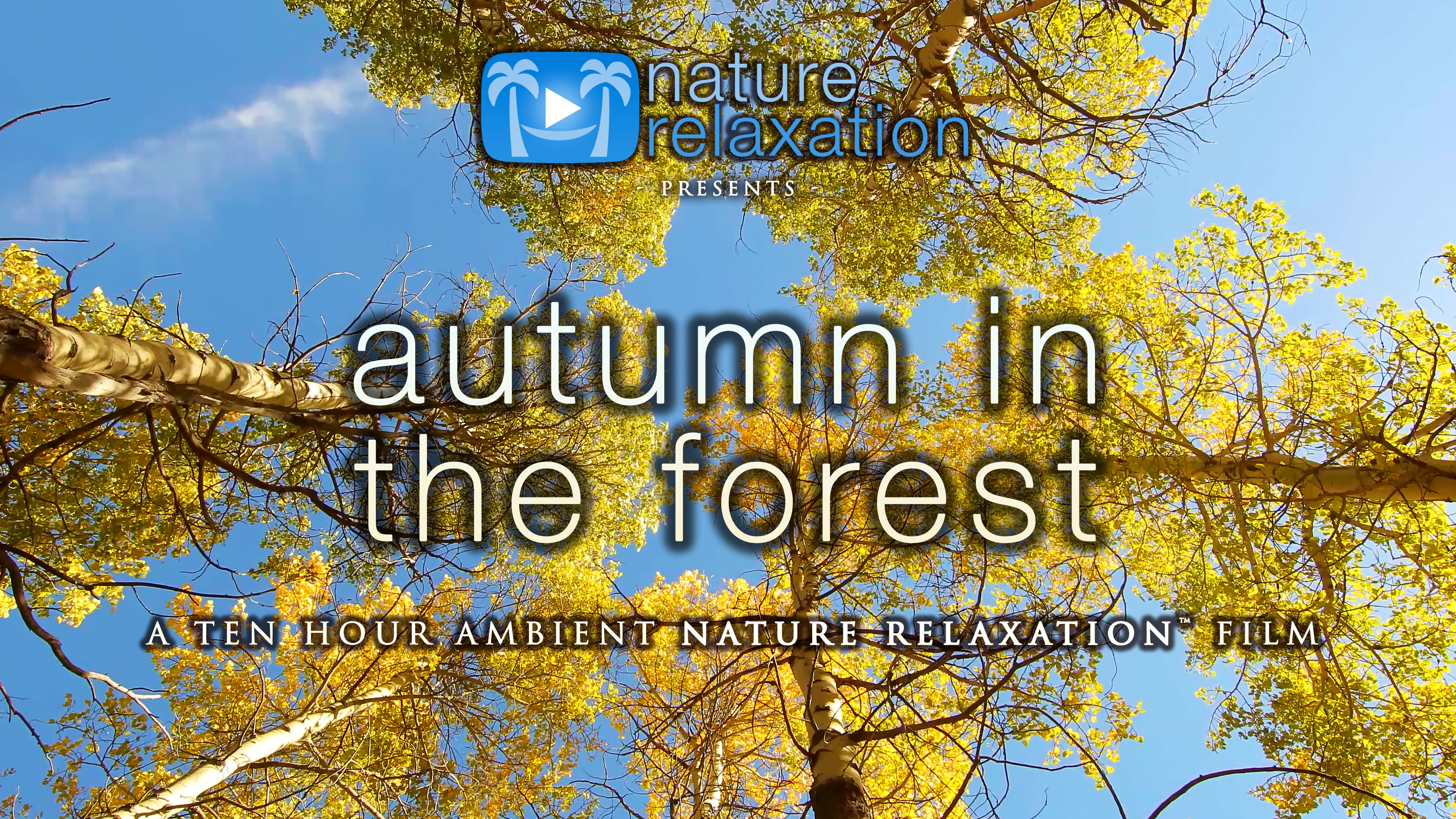 10HRs Of Autumn In The Forest - Nature Sounds Only - Nature Relaxation ...