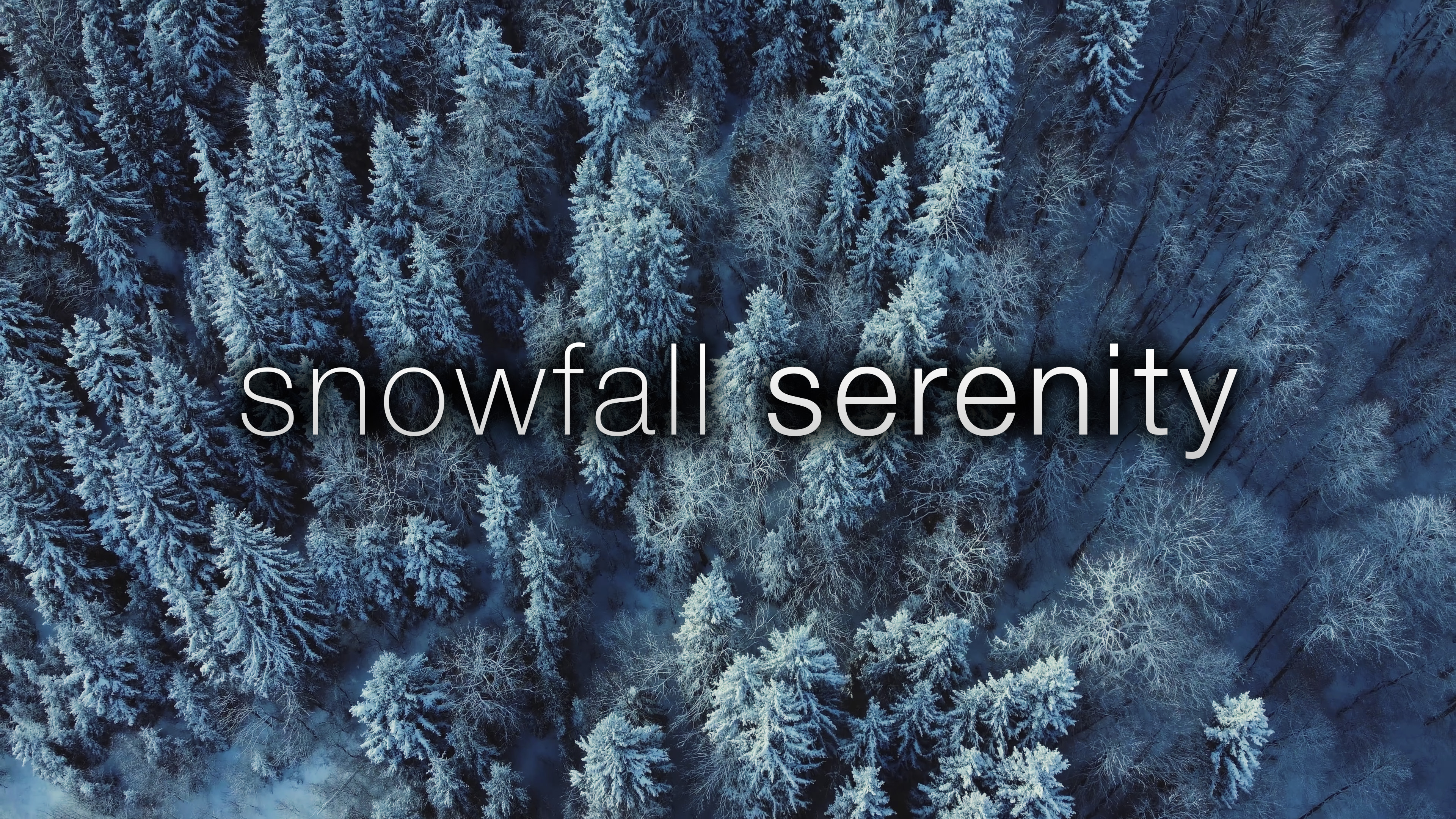 Snowfall Serenity - 2.5HR, 4K