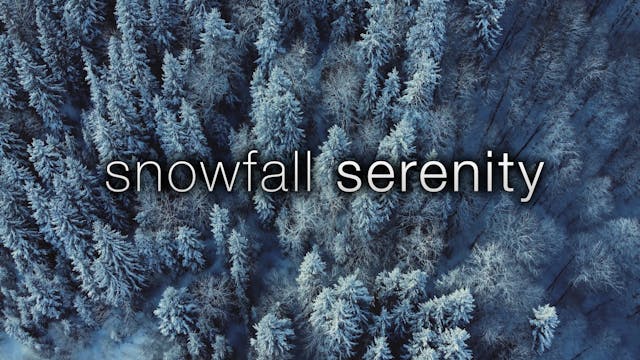 Snowfall Serenity - 2.5HR, 4K