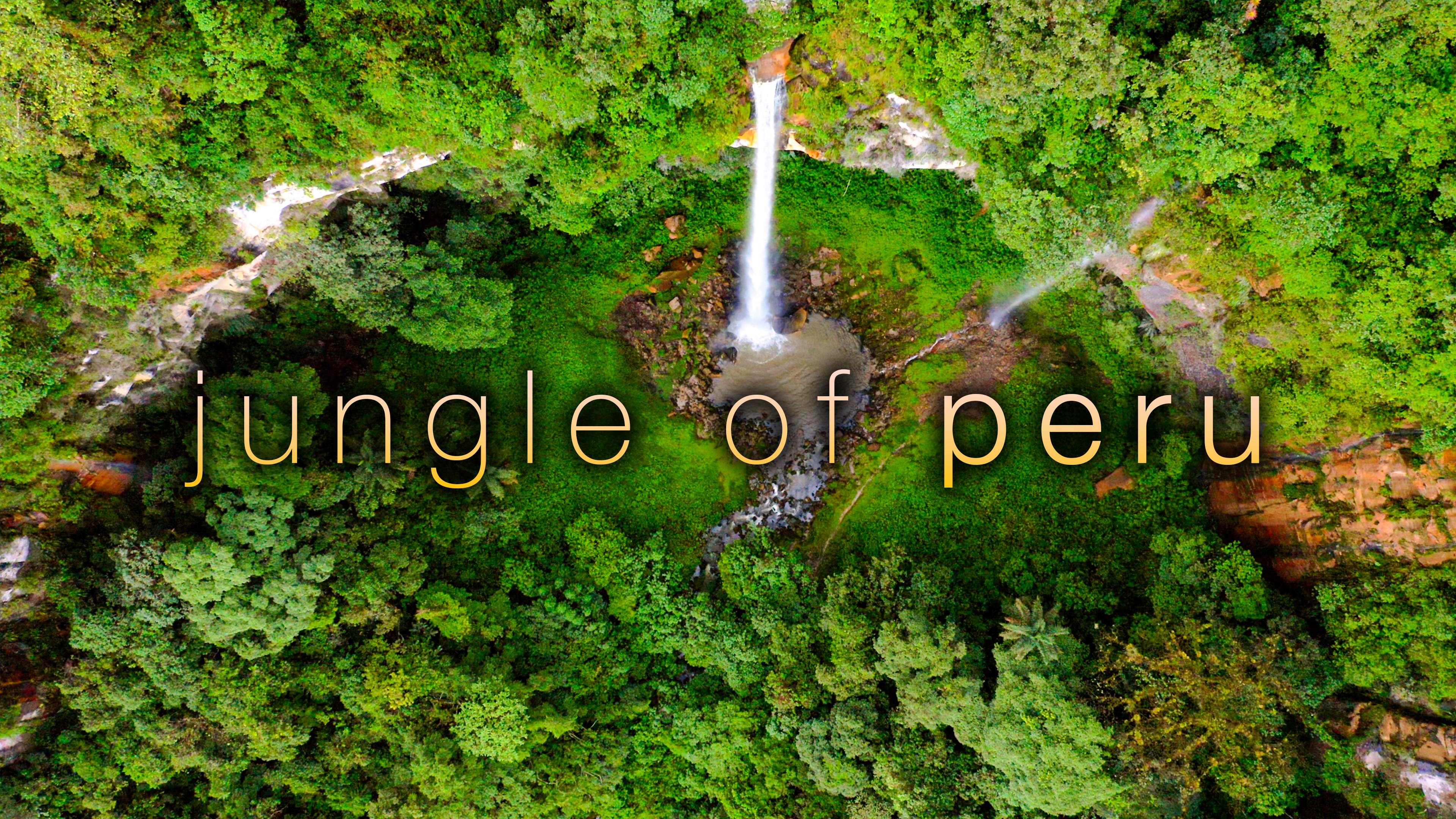 Jungle of Peru - 1H, 4K