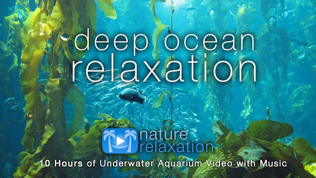 Deep Ocean Relaxation 8HR + Music Dynamic Film