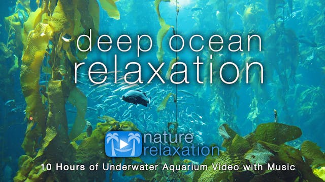 Deep Ocean Relaxation 8HR + Music Dyn...