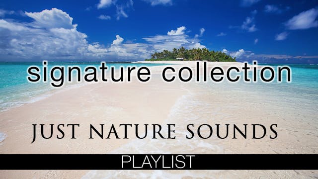 SIGNATURE FILMS WITH NATURE SOUNDS
