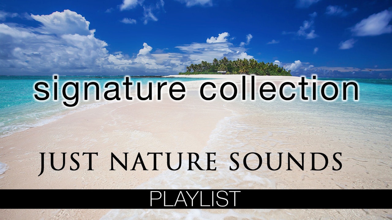 SIGNATURE FILMS WITH NATURE SOUNDS