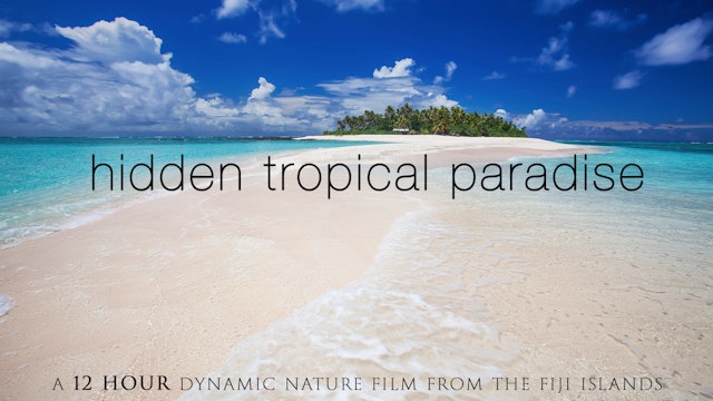 Hidden Tropical Paradise 12 HOUR Dynamic Film - Outer Fiji Islands HD