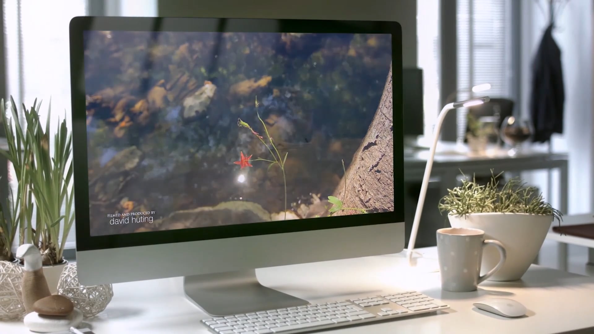 2017 About Nature Relaxation Commercial - 2 Minute