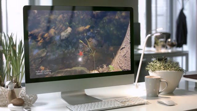 2017 About Nature Relaxation Commerci...