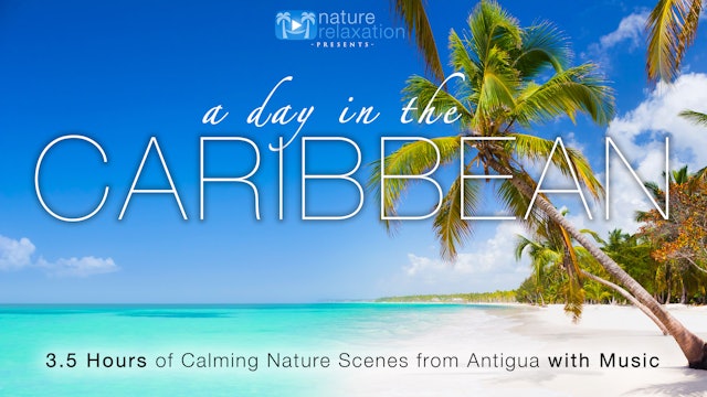 A Day in the Caribbean  (+Music) 3.5HR Dynamic Film from Antigua