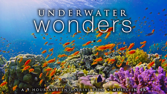 Underwater Wonders 9 HR Dynamic Film + Music filmed in 4K