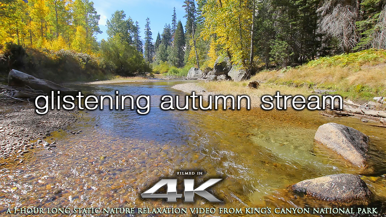 Glistening Autumn Stream 1HR Static Nature Relaxation 4K