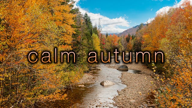 Calm Autumn - 1H, 4K with Piano Music