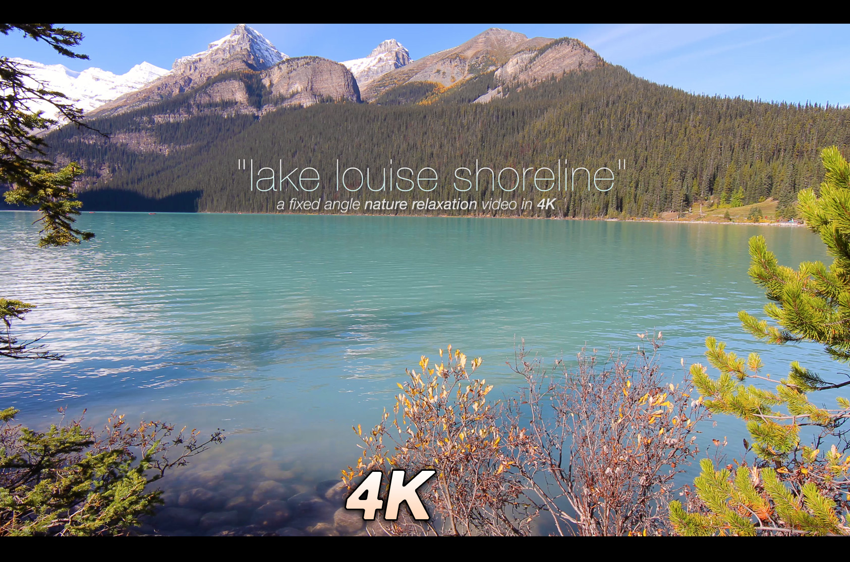 Lake Louise Shoreline Nature Relaxation Video 1 HR 1080p