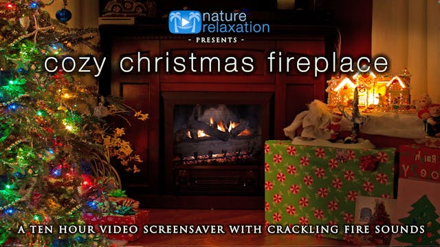 Cozy Christmas Fireplace 2HR Static S...