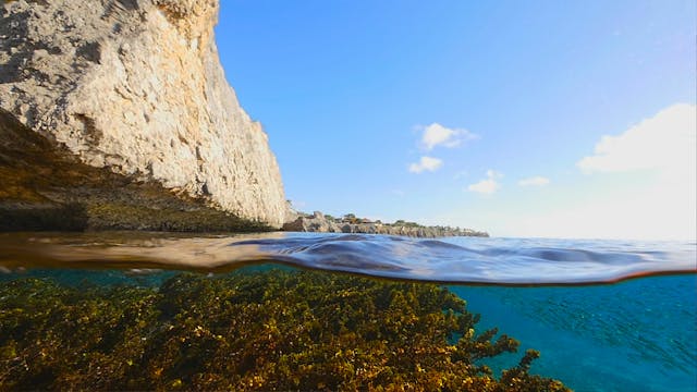 Above & Below the Caribbean 1HR Natur...