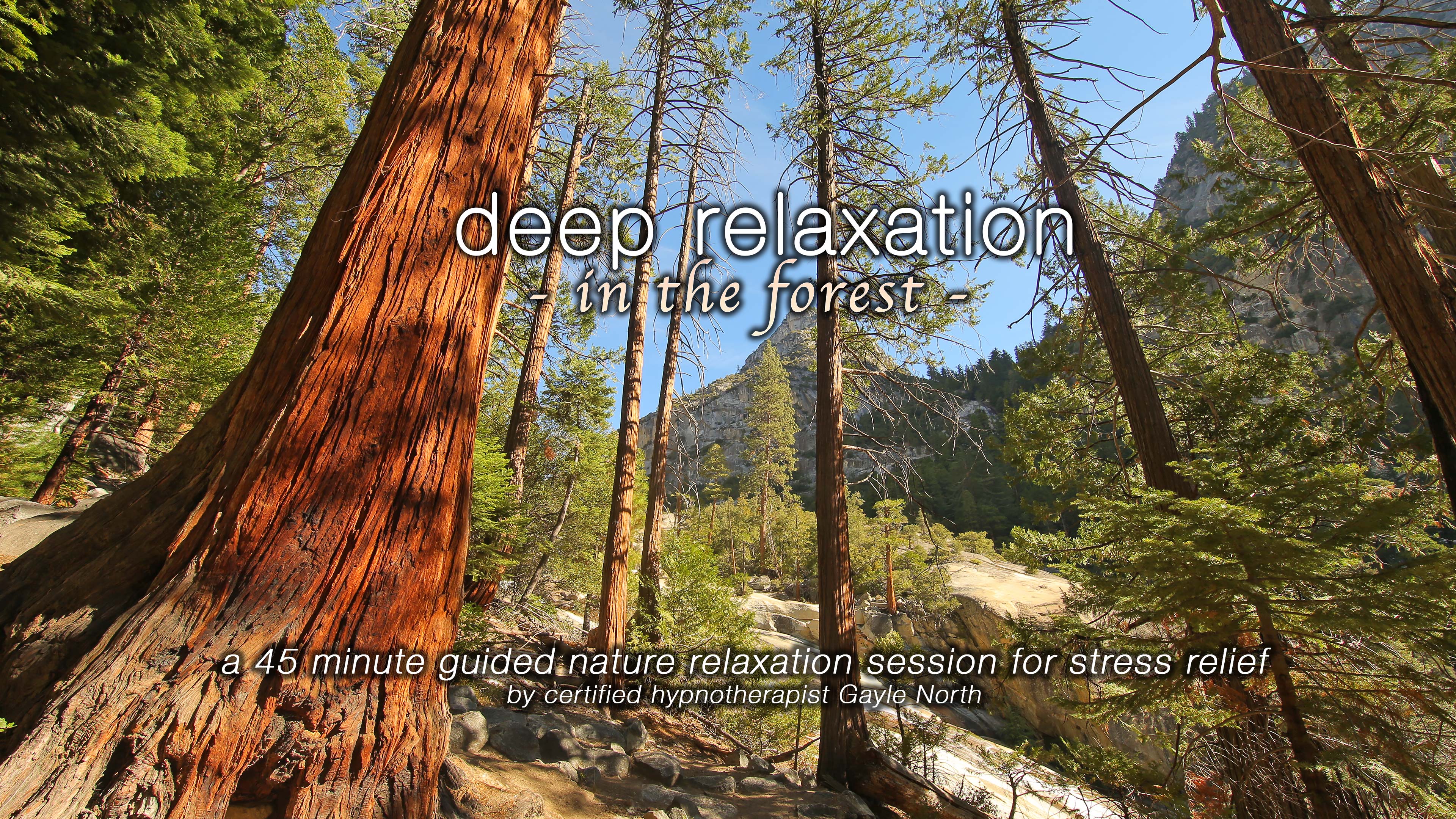 Deep Relaxation in the Forest" 45 Min Guided Therapy Session for Stress Relief