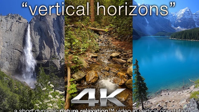 VERTICAL Horizons w Just Nature Sounds - a Vertical Nature Relaxation Video