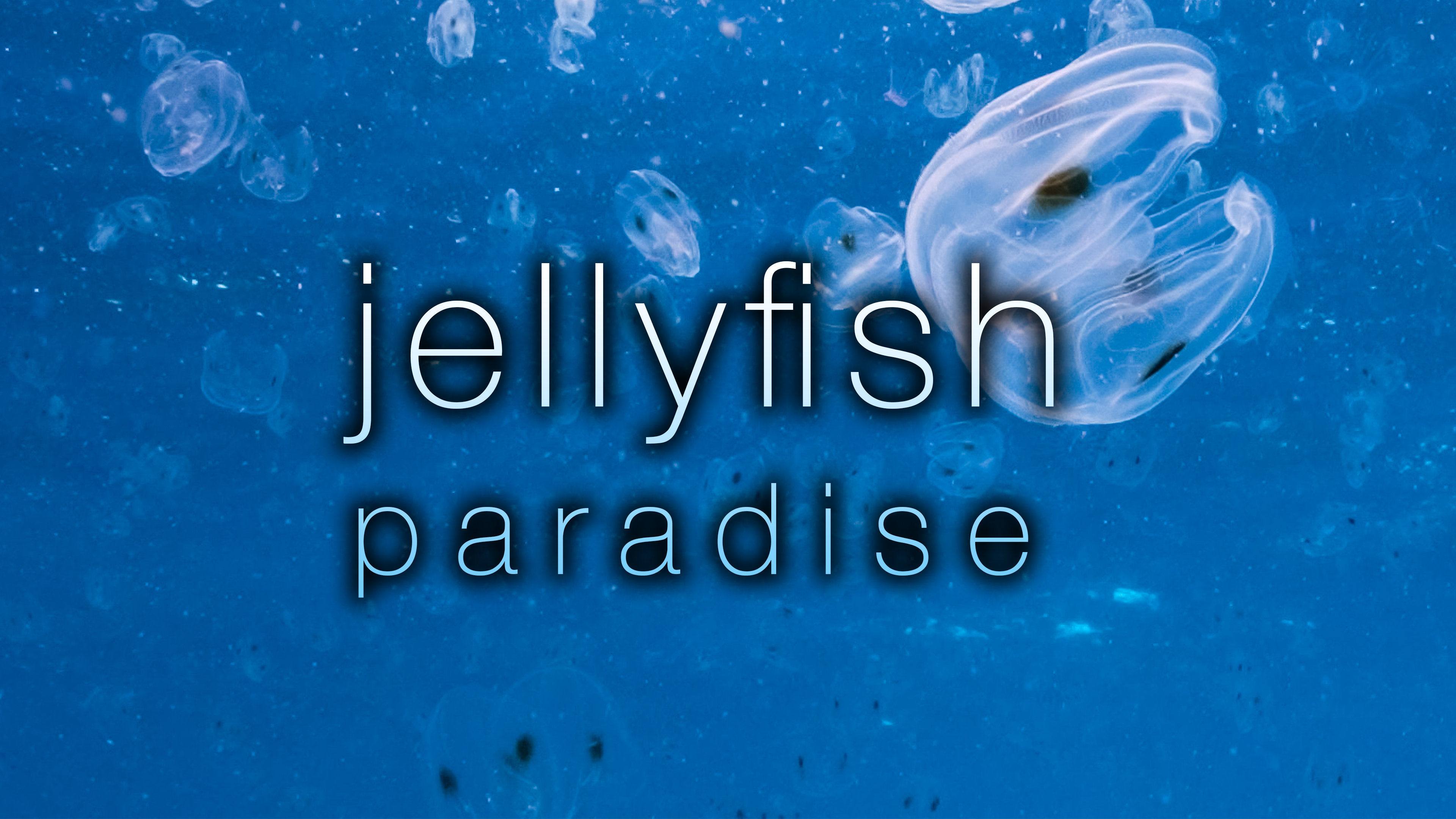 Jellyfish Relaxation - 3HR, 4K