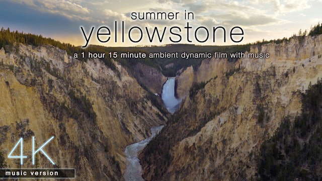Summer in Yellowstone (w Music) 1HR Dynamic Nature Film