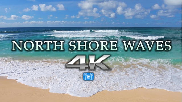 North Shore Waves Oahu 1 HR Nature Re...