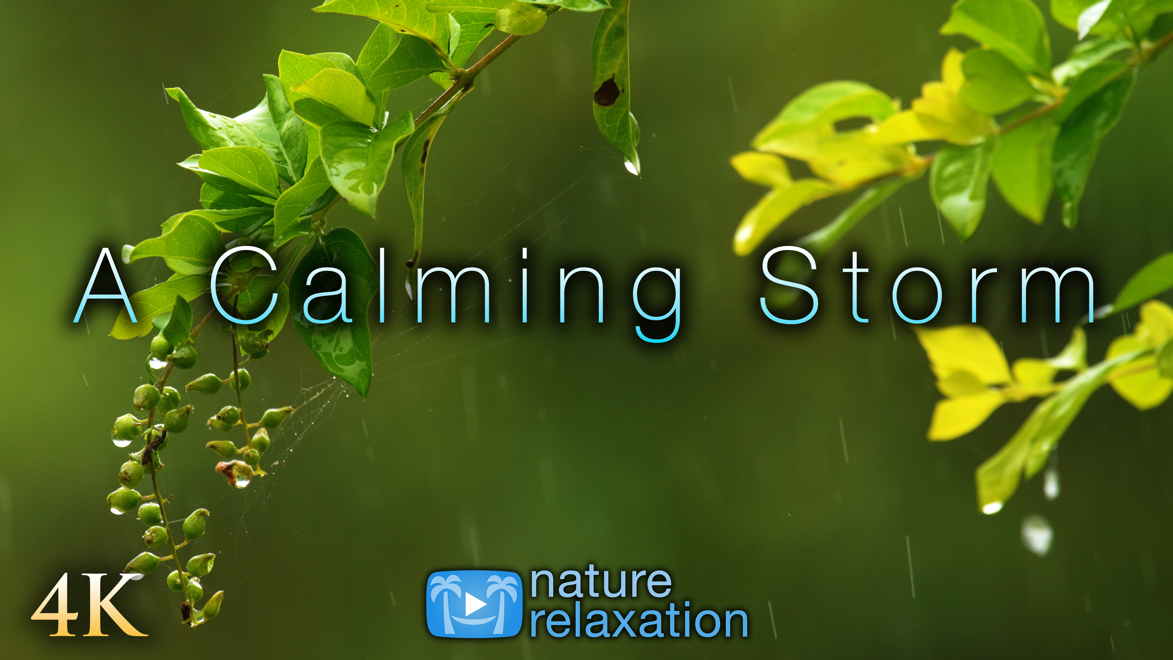 A Calming Storm - 1HR, 4K