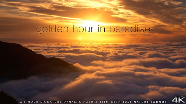 Golden Hour in Paradise 1 HR Dynamic Film (No Music) - Pure Relaxation Series