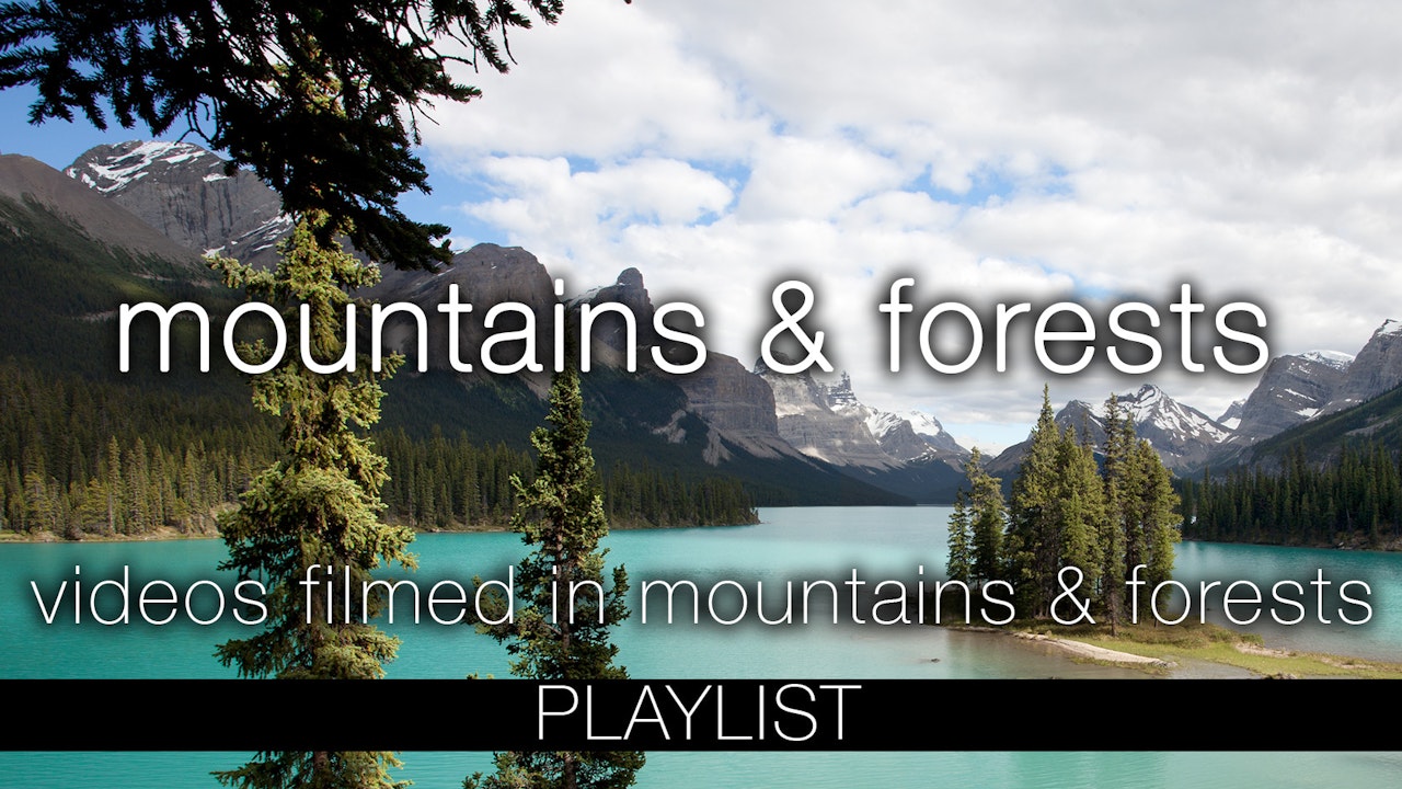 Mountains & Forests Nature Relaxation Videos