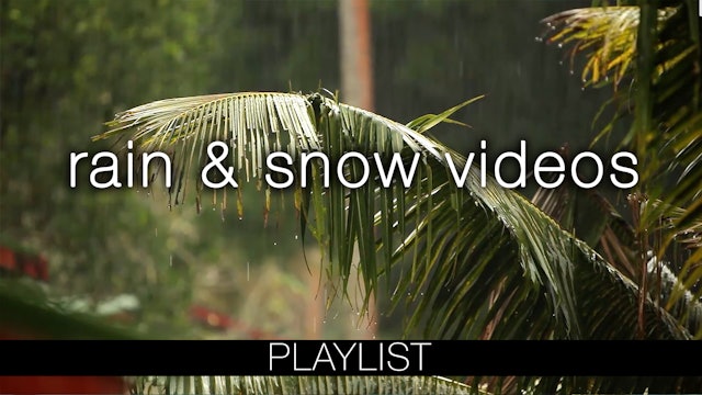 Rain & Snow Videos