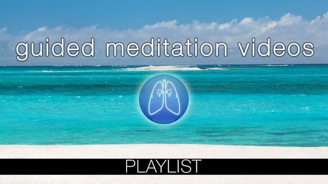 Guided Meditation Videos (Free)