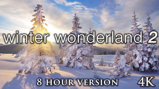 Winter Wonderland 2: 8 Hours of 4K Snowy Mountain Footage + Hang Drum Music