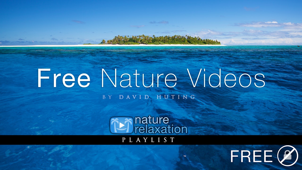 Free to Try Collection - Nature Relaxation™ Films