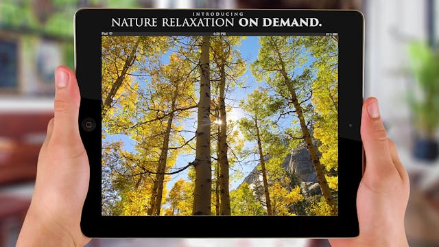 Nature Relaxation™ On-Demand + Apps T...