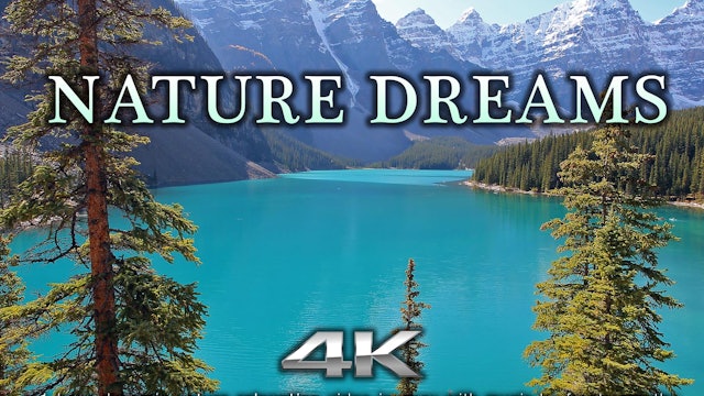Nature Dreams 1 HR Dynamic Nature Relaxation Video w Music