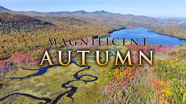 Magnificent Autumn - 2HR 4K Drone Fil...