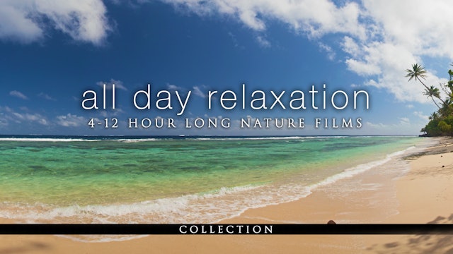 All-Day Relaxation (4-12 Hour Nature Films)