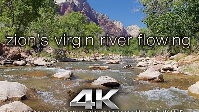 Zions Virgin River Flowing 1 Hour HD Nature Relaxation VIdeo