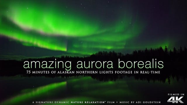 Amazing Aurora Borealis of Alaska 75 ...