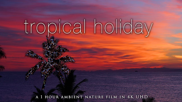 Tropical Holiday - 1 Hour Christmas-Themed Fixed Nature Scene from Fiji