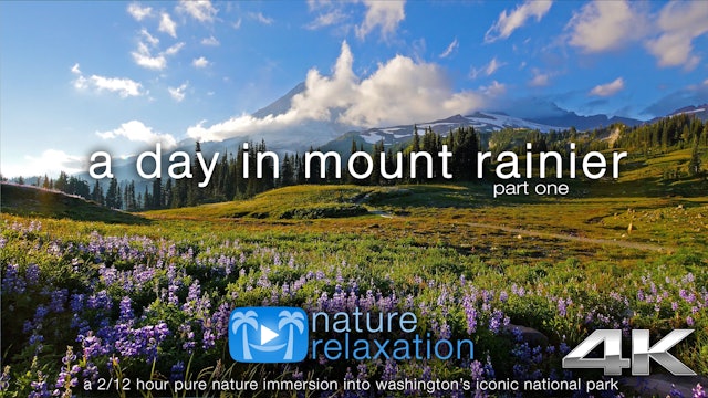 A Day in Mount Rainier Nat'l Park | 2.5 HR Dynamic Nature Film