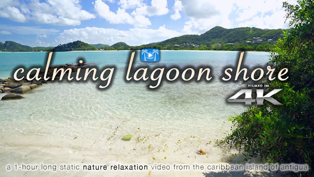 Calming Lagoon Shore 1 Hr 4K Nature R...