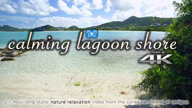 Calming Lagoon Shore 1 Hr 4K Nature Relaxation