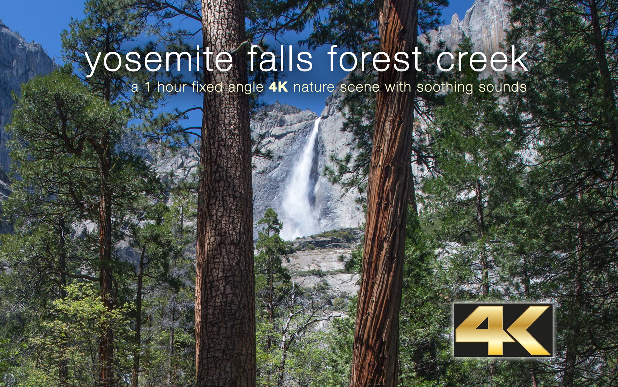 Yosemite Falls Forest Creek 1HR Static Nature Vid