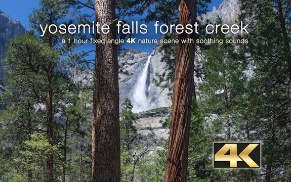 Yosemite Falls Forest Creek 1HR Static Nature Vid