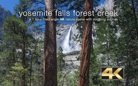 Yosemite Falls Forest Creek 1HR Stati...