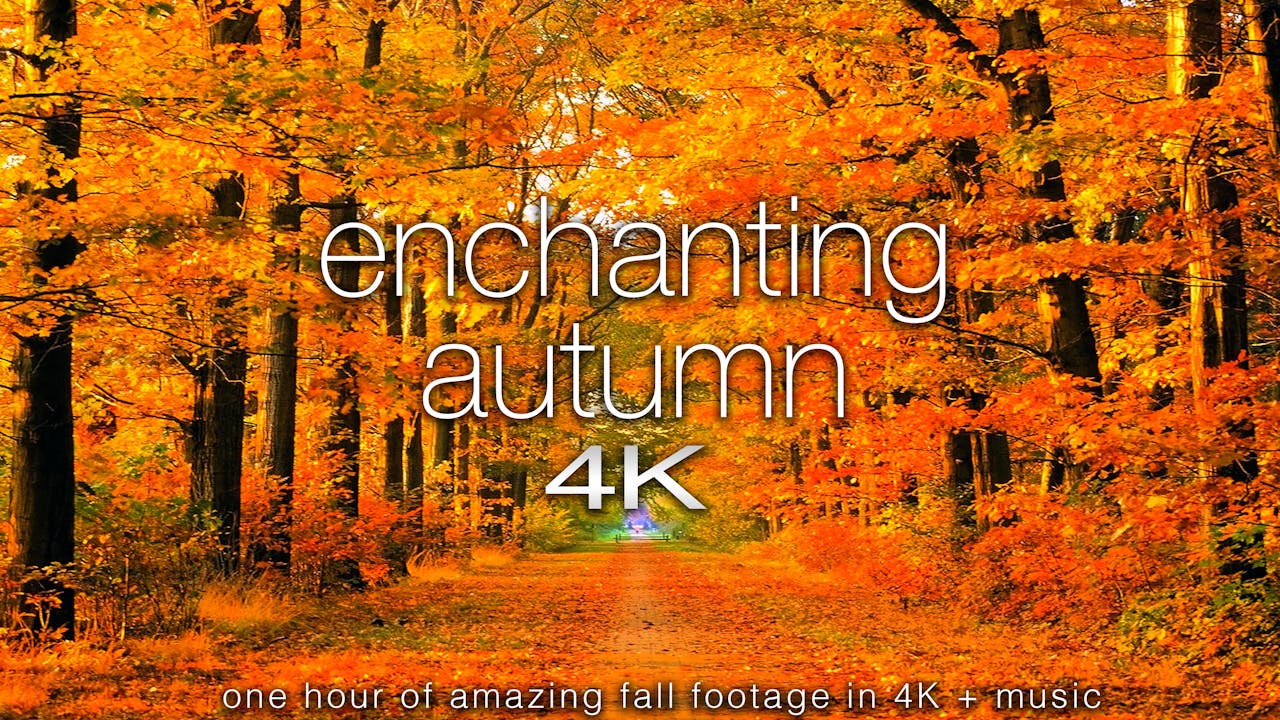 Enchanting Autumn Update