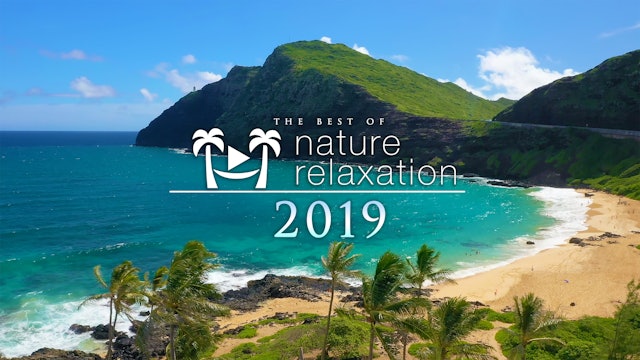 Best of Nature Relaxation 2019 - 10 Hour Mix 