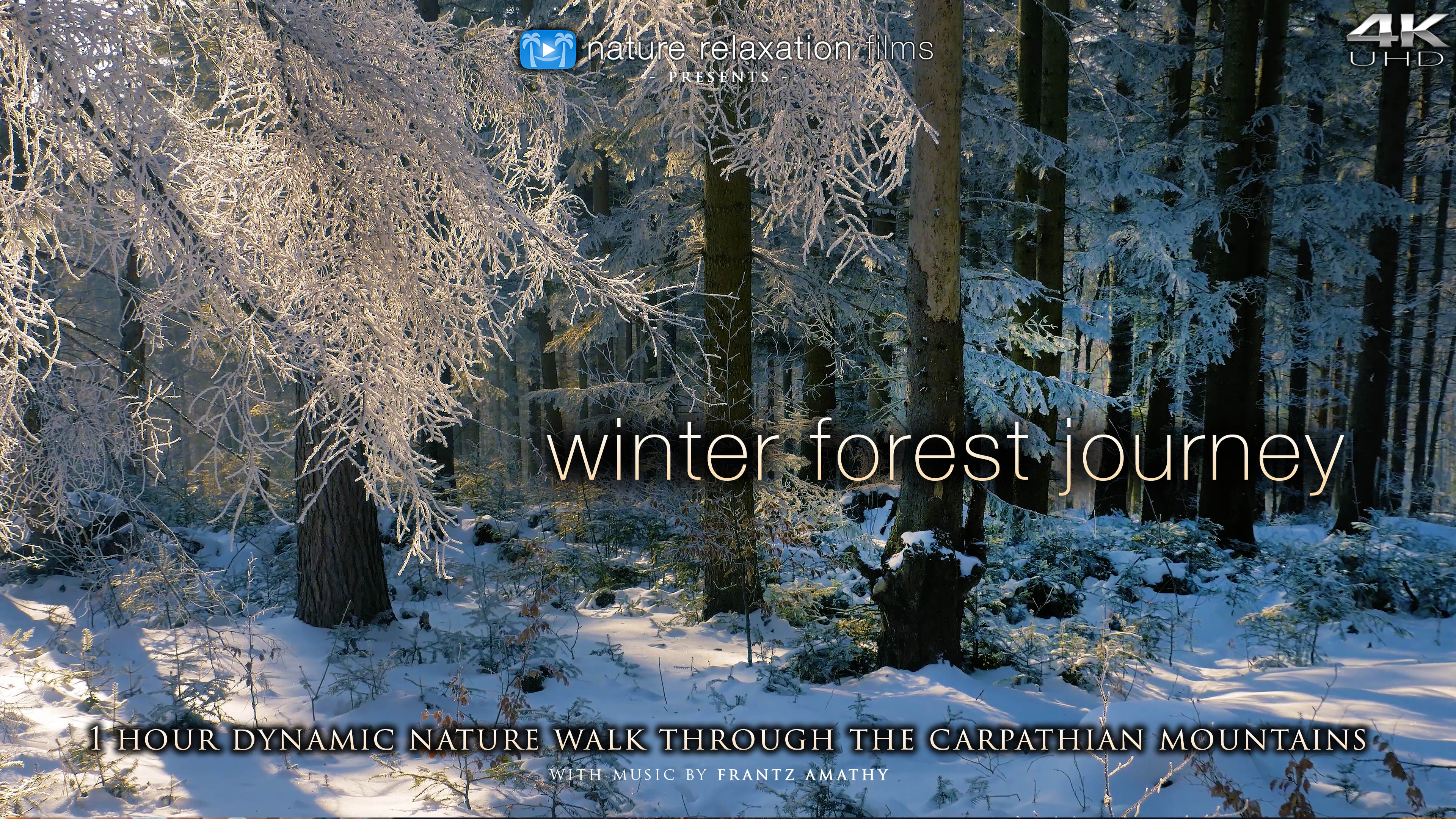 Winter Forest Journey (+ Music) 1HR Dynamic Film Shot in 4K - Carpathian Mountains