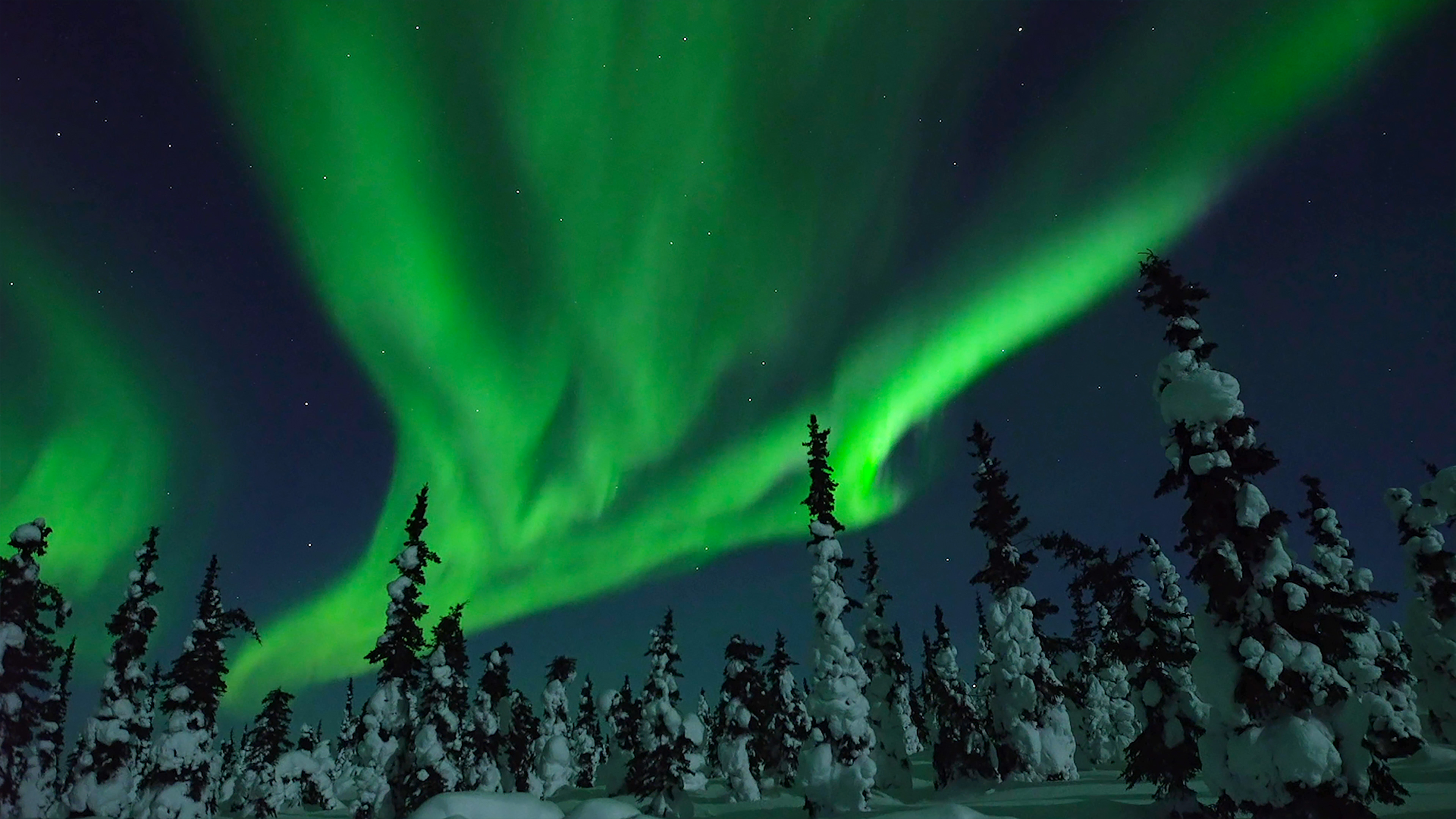 Winter Wonder 2022 + A Christmas Message from Nature Relaxation