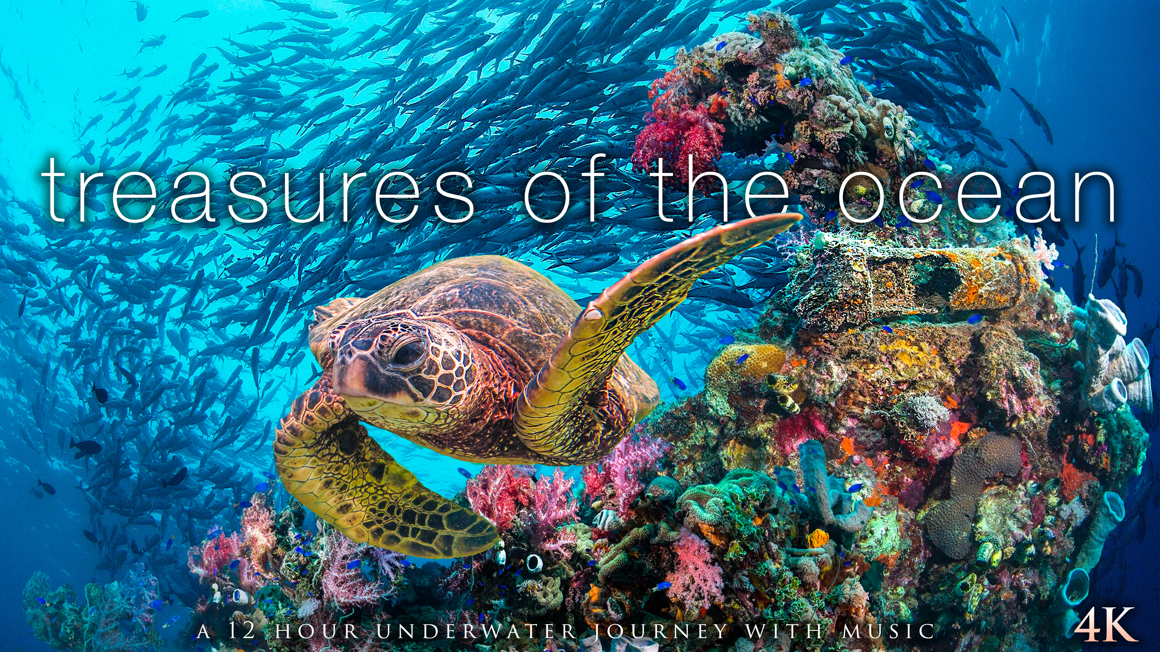 Treasures of the Ocean - 12H, 4K