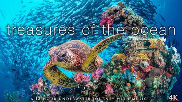 Treasures of the Ocean 12 Hour Underwater Nature Relaxation Film