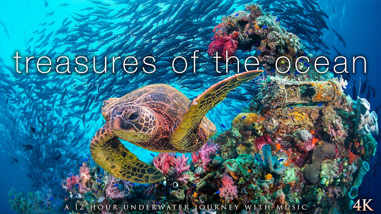 Treasures of the Ocean 12H, 4K UNDERWATER FILMS Nature Relaxation
